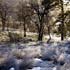 Location Photographer Scotland 3